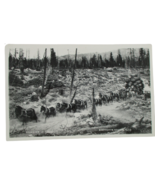 Eastman Studio 503 RPPC  LOGGING in 1895 Real Photo Postcard Horse Drawn - $16.81