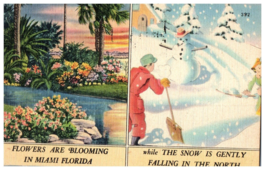 Flowers Blooming in Miami Snow Falling in the North Florida Postcard Posted 1946 - £5.20 GBP
