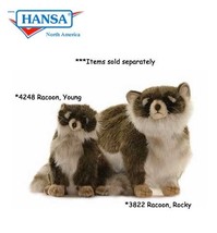 Raccoon, Young (4248) - £36.04 GBP