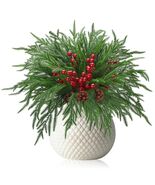 Riceshoot 12 Pcs Norfolk Pine Branches with Red Berries Pine Cones 17.7"... - €16,09 EUR Riceshoot 12 Pcs Norfolk Pine Branches with Red Berries Pine Cones 17.7"... - €16,09 EUR