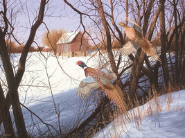 FRAMED CANVAS Art print giclee Midwest Pheasants flying birds western - £31.84 GBP+
