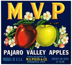 1940&#39;s Apple Fruit Crate Label Watsonville Vintage Pajaro Valley Santa Cruz Mvp - £9.80 GBP