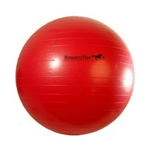 Horsemen&#39;s Pride Unisex Jolly Mega Ball, Red, 25-Inch  - £50.47 GBP
