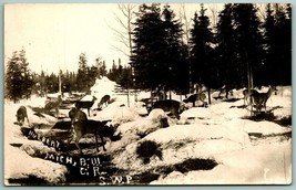 RPPC Winter Landscape Scene Deer Grazing Hulbert Michigan MI 1930 Postcard J4 - £12.34 GBP