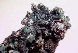 VANDENBRANDEITE - Rich Cabinet Specimen - Musonoi Mine, Katanga, CONGO - $1,400.00