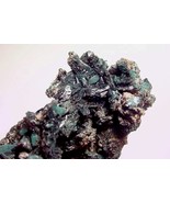 VANDENBRANDEITE - Rich Cabinet Specimen - Musonoi Mine, Katanga, CONGO - €1.202,74 EUR