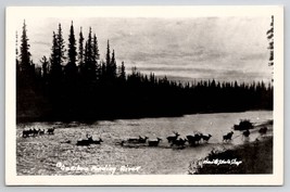 RPPC Alaska Caribou Fording River Elk Crossing Postcard J22 - £11.71 GBP