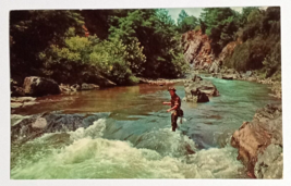 Fly Fishing for Trout River Rapids Scenic View Virginia VA UNP Postcard c1960s - $5.99