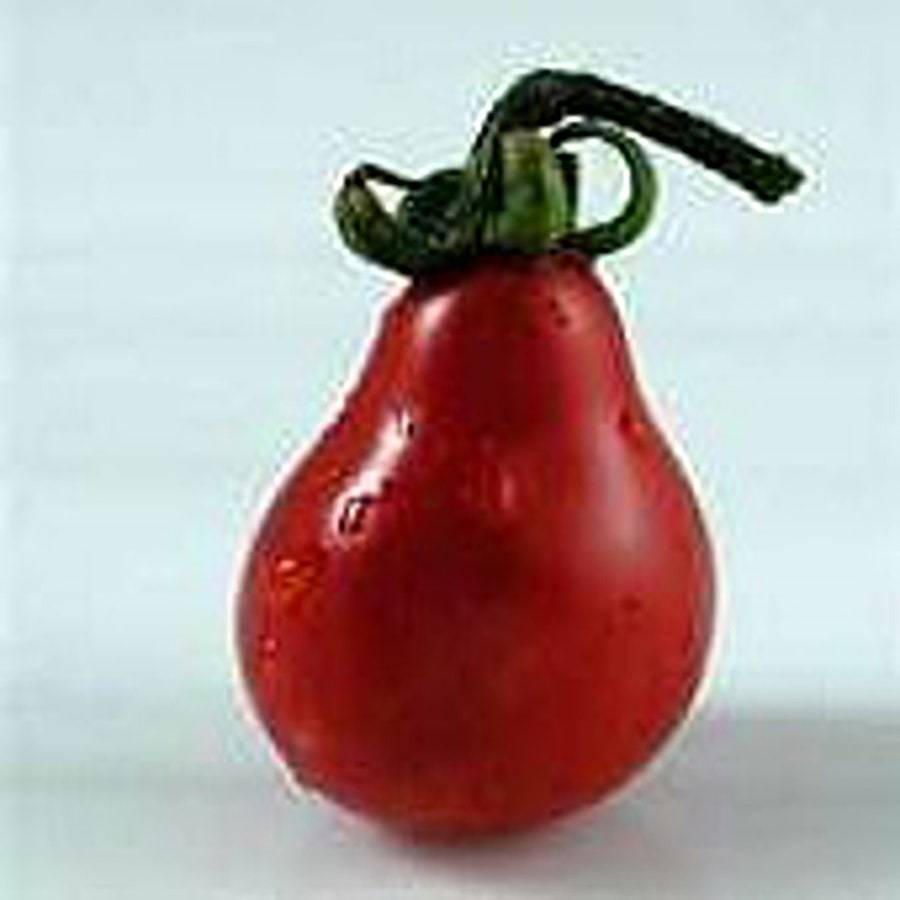 Red Fig Tomato Seeds Fresh Gardening USA SELLER - $8.59