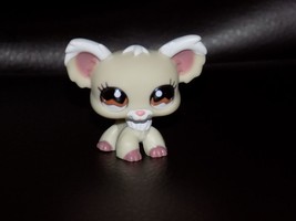 Littlest Pet Shop Chihuahua Cream and White With Brown Eyes 2007 EUC HTF - £17.50 GBP