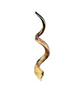 Kudu Yemenite Shofar XXL (47&quot; around curls) Genuine Antelope Horn Judaica - $335.61