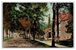 Reynolds Avenue Street Vista Cortland Ny New York Unp DB Cartolina W15 - £6.10 GBP