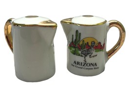 Arizona Salt and Pepper Shaker Set 2 In Tall Souvenir Grand Canyon Teapot Style - £11.94 GBP