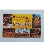 Greetings From San Diego Zoo California Multiview Koala, Chimpanzee Post... - $6.30 CAD