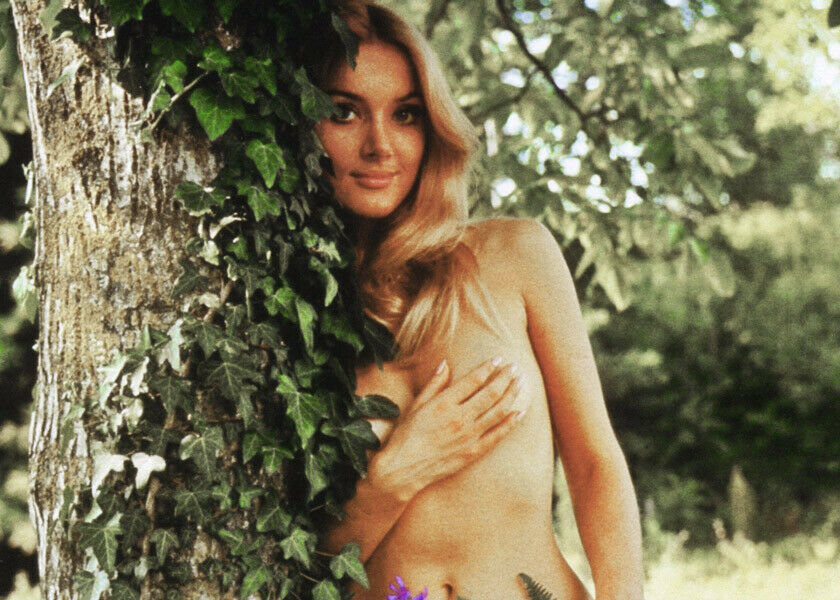 Barbara Bouchet 1960&#39;s pose hands over breasts sexy 5x7 inch photograph - $5.75