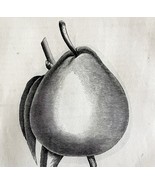 Winter Nelis Pear 1863 Victorian Agriculture Farming Steel Plate Fruit A... - $49.99