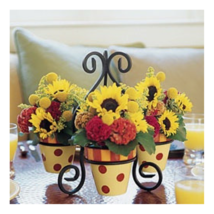 Southern Living at Home Sienna Gail Pittman Pots Pottery Wrought Iron Holder - £76.07 GBP