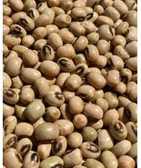 Black eye African yam beans(sphenostylis stenocarpa), 50 seeds /14 USD, ... - £28.23 GBP