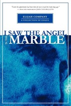 I Saw the Angel in the Marble [Paperback] Davis, Chris and Davis, Ellyn - €2,56 EUR