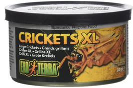 [Pack of 3] Exo Terra Canned Crickets XL Specialty Reptile Food 1.2 oz - £26.71 GBP