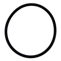 Pentair R172009 Cap O-Ring Replacement Pool and Spa Filter and Feeder - $9.30 CAD