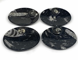 726g, 4pcs, 4.7&quot;x3.8&quot; Small Fossils Ammonite Orthoceras Bowl Oval Ring,B8861 - £47.95 GBP