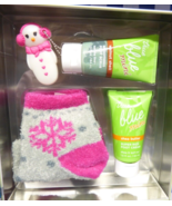 Bath &amp; Body Works A WINTER STORY Gift Tin True Blue Spa Walnut shell foo... - $16.99