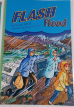flash flood by susan wood scott foresman 4.1.4 Paperback (121-2) - £4.69 GBP