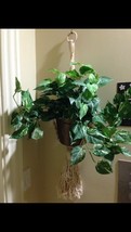 beautiful potted silk green leafed plant with macrame hanger - £30.99 GBP