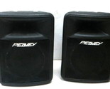 Peavey PA System 1012 200236 - $399.00