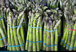 Asparagus Mary Washington 100 Seeds Fresh USA Fast Shipping - $11.60