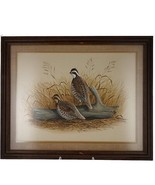 1972 E Rice Bauknight Watercolor Quail Texas Landscape Wildlife Artist - $361.35