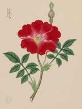 1554.Red flower painting.Nature illustration 18x24 Poster.Asian Floral Decorativ - £22.49 GBP