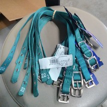 Hamilton Products 3/4” Teal Nylon Dog Collar 22” Deluxe Buckle - Bag of 12 - £47.95 GBP