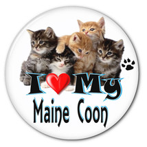 I LOVE MY MAINE COON KITTEN CAT 3&quot; SAFETY PIN BACK BUTTON - $6.29