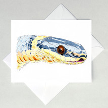 Ringnecked Snake Note Cards - £3.19 GBP+