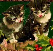 Adorable Cats A Joyful Christmas Holly 1908 Embossed DB Postcard E12 - £8.15 GBP