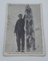 Timber Wolf, Hear ‘em Howl near Fort Frances, Ontario Joe Martin 1930s Postcard - £118.86 GBP