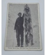 Timber Wolf, Hear ‘em Howl near Fort Frances, Ontario Joe Martin 1930s P... - £118.47 GBP