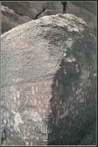 Postcard Petrified Forest National Park Arizona Petroglyph Panel Unused - £4.74 GBP