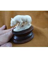 (tb-bin-7) Binturong Bearcat Nutria Muskrat TAGUA NUT palm figurine Bali... - $43.44
