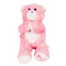 Build a Bear Magnetic Hands Plush 16&quot; Pink Heart Valentines Day Stuffed ... - £7.67 GBP