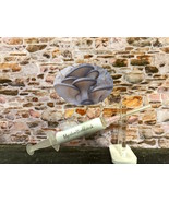 10ml / 60ml Blue Oyster Mushrooms Specialist Range Liquid Mycelium Culture / See - $8.71 - $41.14