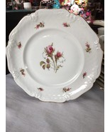 Lithenbach, Bavaria, Germany, Moss Rose, Dessert plate, approximately 7” - $9.99