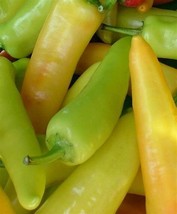 50 SEEDS HUNGARIAN WAX PEPPER HEIRLOOM SEEDS FOR RAPID LUSH GARDENS - $8.35