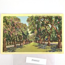 Vintage 1950 Linen Postcard Beautiful Pepper Tree Drive Southern California - $14.92