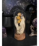 Fox Skull and Flowers Taxidermy Display in Glass Dome, Gothic Animal Sku... - $33.00