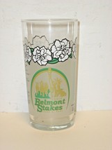 2001 - 133rd Belmont Stakes glass in MINT Condition - $10.00