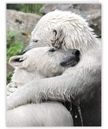 1 Jumbo Valentine&#39;s Day Greeting Card (8.5&quot; x 11&quot;) - Bear Hugs - $225.61 MXN