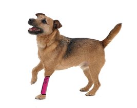 PET LIFE &#39;Extreme-Neoprene&#39; Joint and Hip Protective Recovery Supportive Reflect - £18.87 GBP